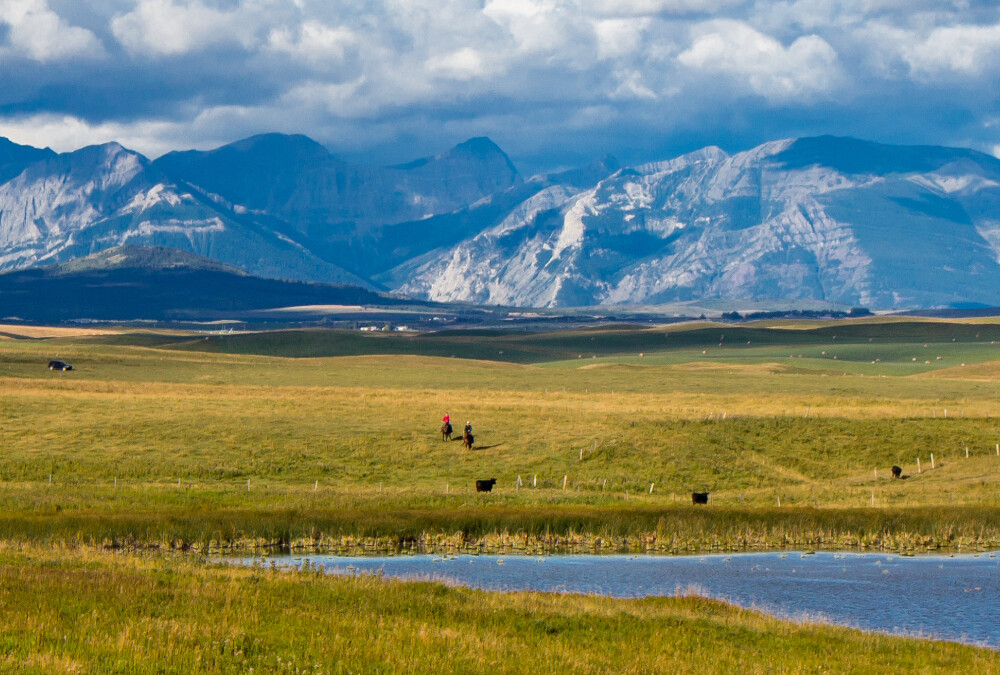 image for Land Stewardship Centre