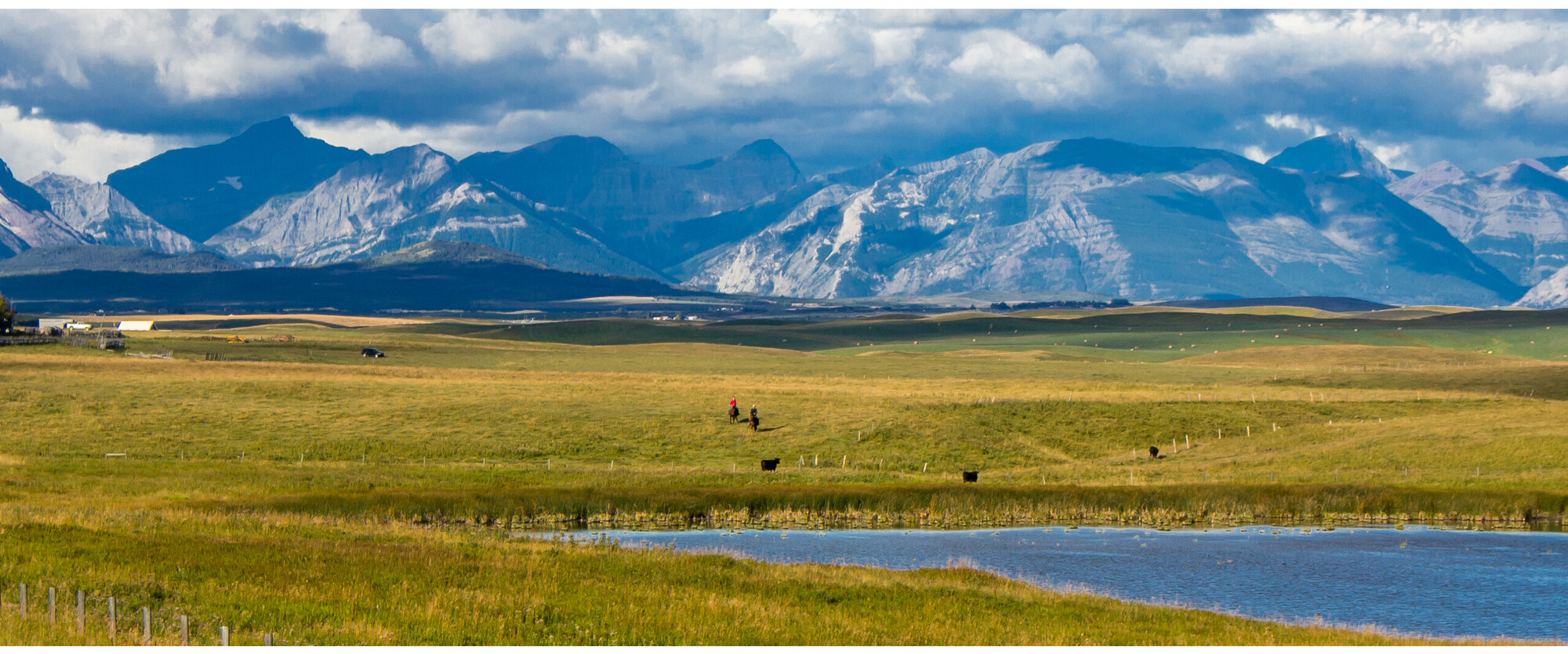 Banner image for Land Stewardship Centre